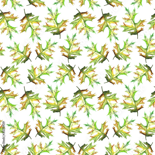 Autumn Hand Drawn Colorful Seamless Pattern Mushroom Leaf Nut Clove Walnut Flowers Poppy Acorn Detailed Botanical Illustrations Adobe Stock でこのストックイラストを購入して 類似のイラストをさらに検索 Adobe Stock