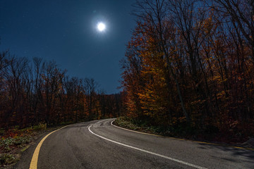 Wall Mural - empty road in the autumn forest on a moonlit night