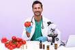scientific doctor working in the laboratory with some tomatoes