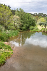 View of a river, with trees, rocks and vegetation on the banks, reflections in the water and bright colors