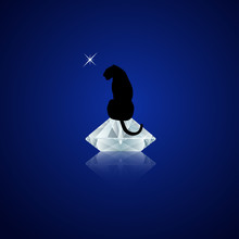 Black Panther Sitting On Top Of The Shiny Diamond At Night. Vector Illustration. Luxus And Wildlife.