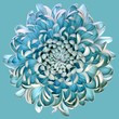Leinwandbild Motiv Closeup illustration of a big blue and white flower on a blue background
