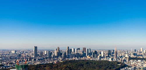 Canvas Print - 東京　都市　パノラマ