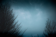 夜・鬱・ホラー・不安イメージ素材：夜の闇に包まれた暗い森と不気味な光を放つ夜空