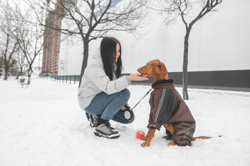 Canvas Print - Smiling girl wearing winter clothes sitting in a snow, dog with clothes in the background of trees and a white building. Winter walks with a dog in the city.Pet and girl sit the snow and play.