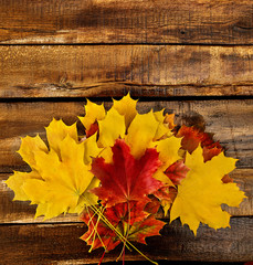 Wall Mural - autumn maple leaves bouquet on top view wooden boards. vertical frame with bottom side foliage and c