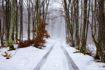 Snowy mountain road