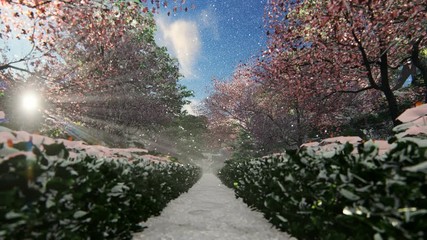 Wall Mural - Beautiful garden alley in winter with sun shinning through cherry trees, hd