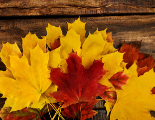 Wall Mural - autumn maple leaves on top view wooden old table. horizontal frame with up copy space.