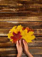 Wall Mural - autumn maple leaves bouquet in female hands top view on wooden table vertical frame with copy space 