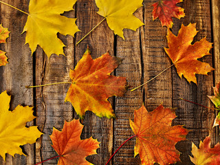 Wall Mural - autumn maple leaves background on on vertically arranged boards. top view wooden table square frame.
