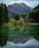 Fototapeta Natura - Beautiful water mirror effect.
