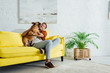 © LIGHTFIELD STUDIOS - Happy man playing with french bulldog on sofa in living room
