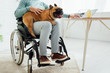 © LIGHTFIELD STUDIOS - Cropped view of man in wheelchair holding french bulldog on knees and using laptop