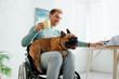 © LIGHTFIELD STUDIOS - Smiling man in wheelchair holding french bulldog and cup while using laptop