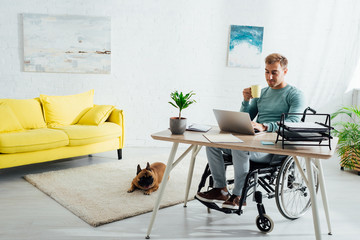 Disabled man with laptop and cup and french bulldog in living room