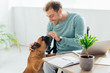 © LIGHTFIELD STUDIOS - Smiling man in wheelchair playing with french bulldog at home