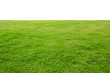 grass on green background 