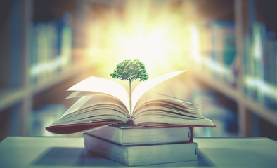 Poster - education concept with tree of knowledge planting on opening old big book in library with textbook, 
