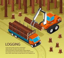 Wall Mural - Isometric Sawmill Woodworking Background