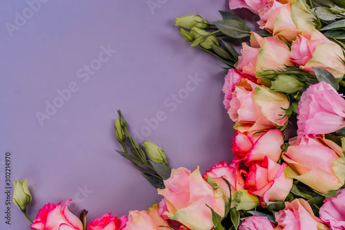 fresh rose flowers on gray