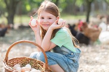 Cute Little Girl Collecting Eggs In Farm