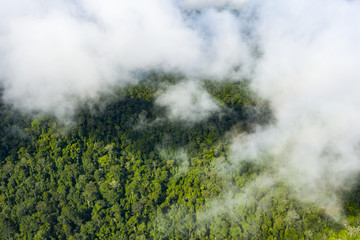  Widok z góry, oszałamiający widok z tropikalnego lasu deszczowego z chmurami utworzonymi z pary wodnej uwalnianej z drzew i innych roślin w ciągu dnia. Park Narodowy Taman Negara, Malezja.