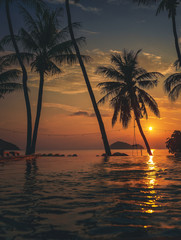 Wall Mural - Pool with palm trees near the ocean during a beautiful sunset