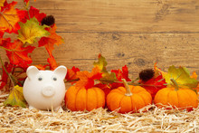 Fall Savings With Piggy Bank And Pumpkins And Fall Leaves On Straw Hay With Weathered  Wood
