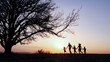 © alex_marina - Silhouettes of happy family walking together in the meadow during sunset