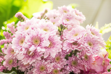 Naklejka na meble Soft pastel color tone of bouquet of chrysanthemum flowers