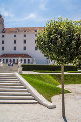 Poster - tree inside Bratislava Castle landmark of slovakia