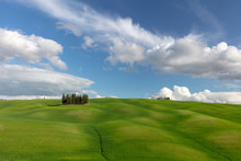 Cypress Trees On Tuscan Landscape Against Cloudy Sky