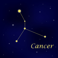 Wall Mural - Pattern with constellation Cancer. Abstract print with The Crab.