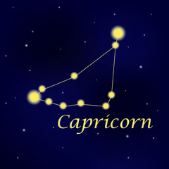Wall Mural - Pattern with constellation Capricorn. Abstract print with The Sea-Goat.
