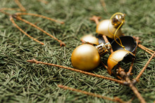 Broken Golden Christmas Balls On Fallen Dry Christmas Tree Needles With Branches.