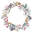 Watercolor illustration. Winter Christmas wreath of branch with red and dark blue berries, green and golden leaves isolated on white background for invitation and greeting card.