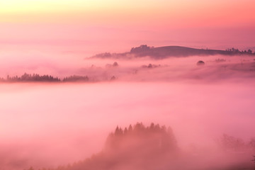 Wall Mural - Beautiful Rolling Hills in Fog at Pink Pastel Sunrise in Fall