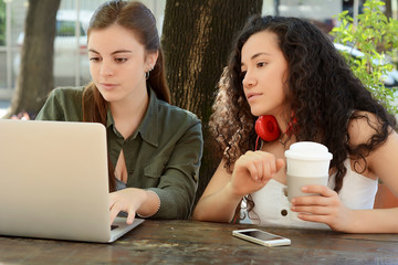 Female friends studying with a laptop in a coffee shop.