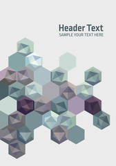 Wall Mural - Vector Abstract geometric White background. Template brochure design. Gray hexagon shape