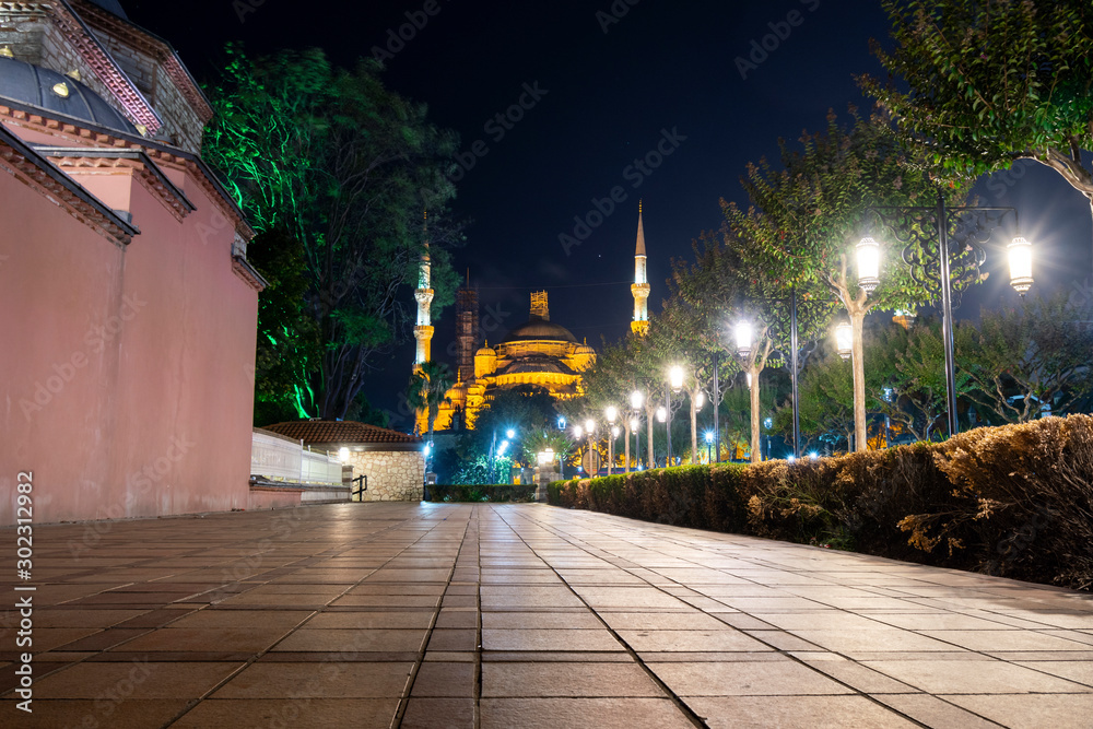 The ancient Blue Mosque illuminated in Sultanahmet Square late night in ...