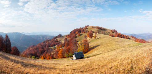 Wall Mural - panorama of picturesque autumn meadow with wooden house and red beech trees in the carpathian mounta