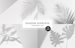 Set of shadow background overlays. Realistic Shadow mock up scenes. Transparent shadow of tropical leaves. Vector illustration