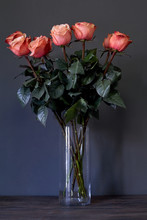 Pink Roses Flower Bouquet In A Clear Tall Crystal Vase Against A Gray Wall, Selective Focus