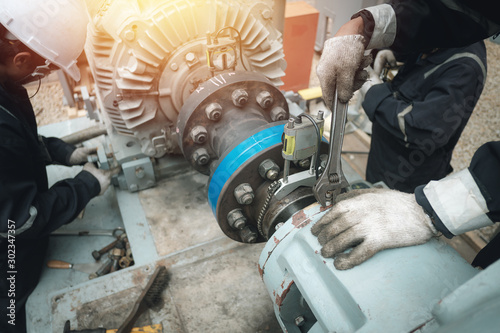Fotomural Technician inspector alignment pump and electric motor, Repairing work in facto