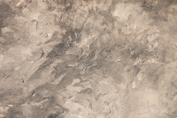 Wall Mural - The rough beautiful abandoned concrete gray wall with spots and bumps is shot on a clear sunny day. Abstract modern trendy grunge texture background. Design element, copy space.