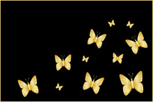 Mock Up Mural, Banner, Greeting Card With Golden Butterflies On A Black Background. Use For Your Design As Well As In Finished Form.