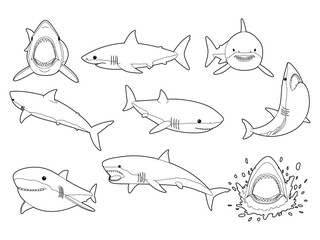 Wall Mural - Great White Shark Pose Cute Cartoon Vector Coloring Book