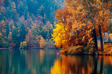 Sticker - Autumn at lake Bled