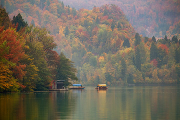 Canvas Print - Autumn at lake Bled